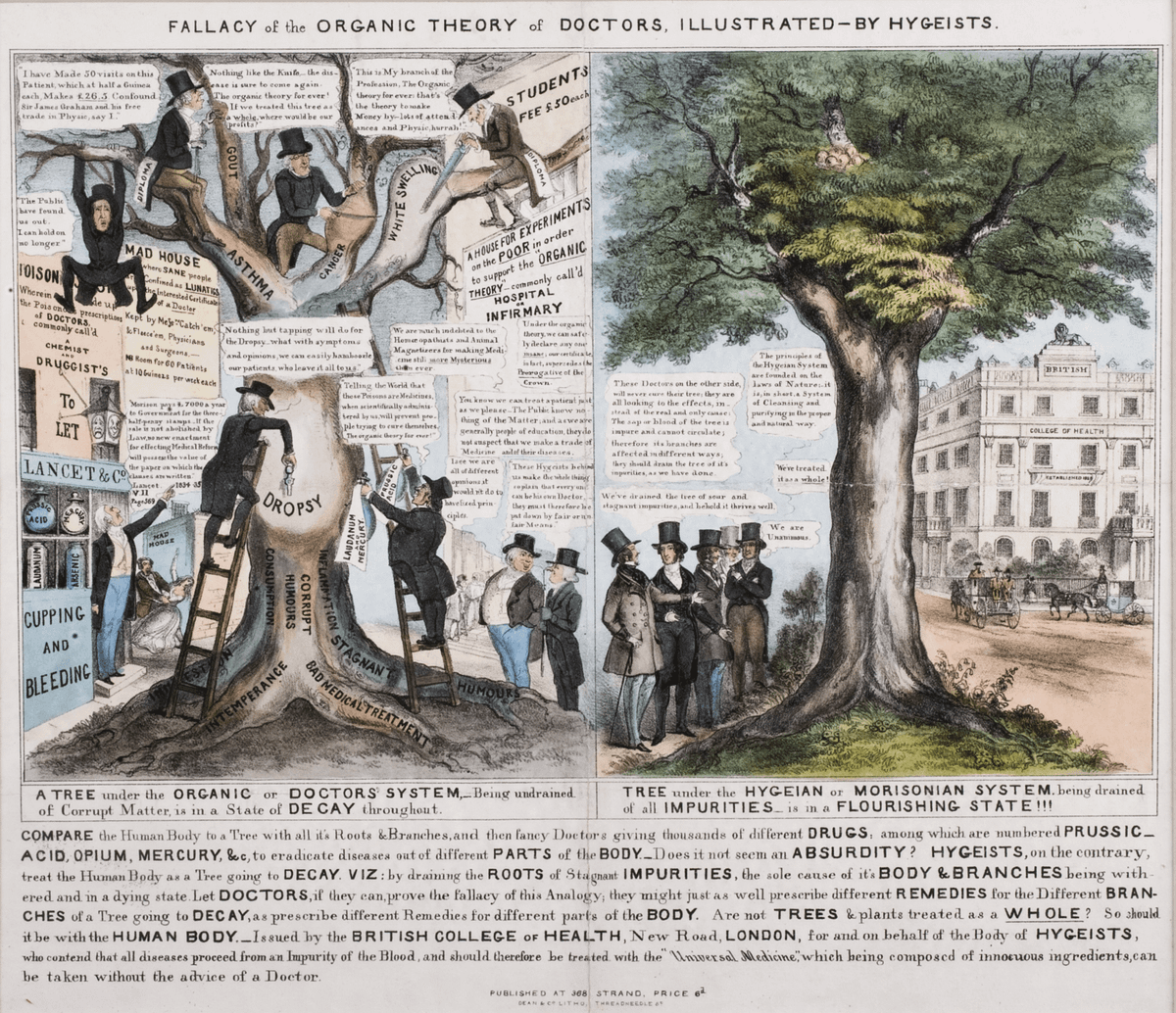 Theo các tài liệu, bác sĩ lang băm Morison nảy ra ý tưởng tạo ra loại thuốc thực vật có thể "thanh lọc" các tạp chất trong cơ thể giúp người bệnh phục hồi sức khỏe.