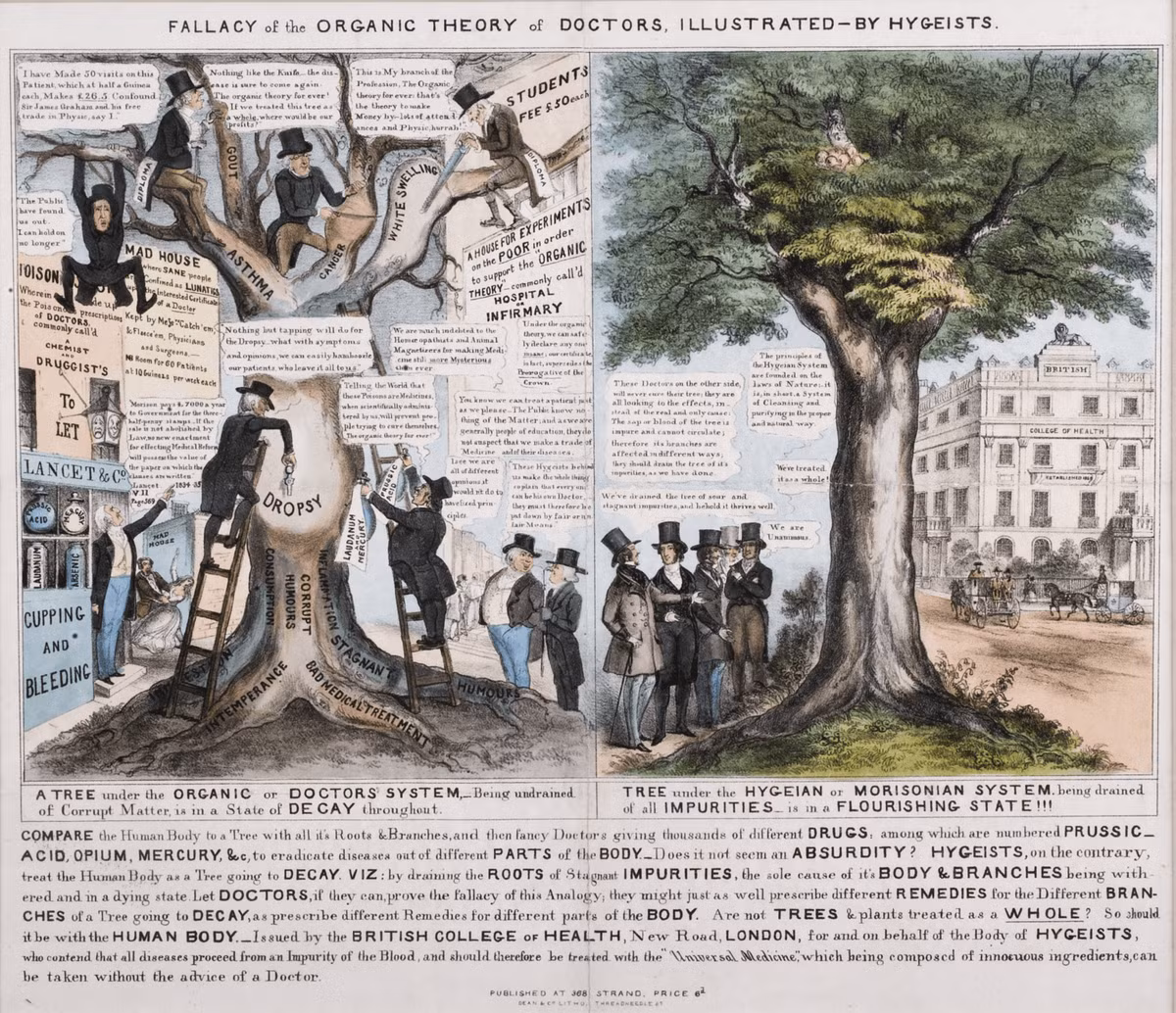 Theo các tài liệu, bác sĩ lang băm Morison nảy ra ý tưởng tạo ra loại thuốc thực vật có thể "thanh lọc" các tạp chất trong cơ thể giúp người bệnh phục hồi sức khỏe.