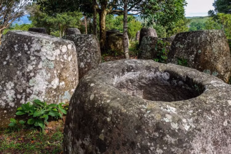 Mặc dù vậy, người dân địa phương có những giả thuyết khác về sự bí ẩn của cánh đồng chum. Phần lớn mọi người cho biết, chum đá được sử dụng để chưng cất rượu phục vụ cho lễ ăn mừng chiến thắng trước các kẻ thù.