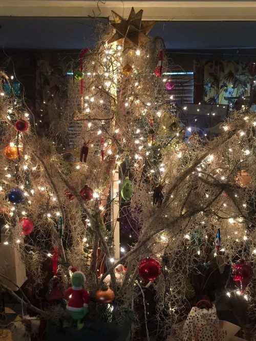 Cành cây gẫy sau cơn bão và rêu cũng có thể biến hoá thành cây thông Giáng sinh thật đẹp mắt. Sức sáng tạo của con người thật vô biên.