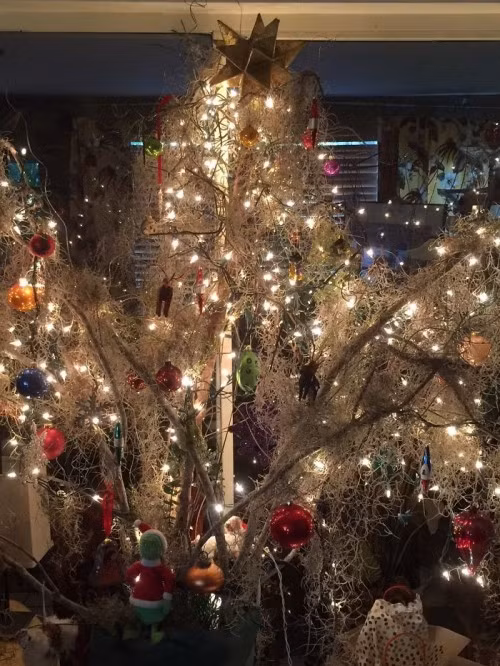 Cành cây gẫy sau cơn bão và rêu cũng có thể biến hoá thành cây thông Giáng sinh thật đẹp mắt. Sức sáng tạo của con người thật vô biên.