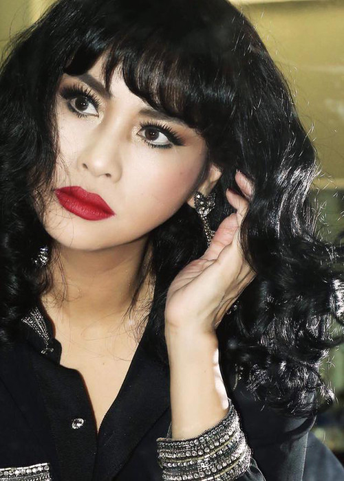 Dù Thanh Lam khẳng định cô chỉ đặt dấu hỏi về thực trạng làng giải trí âm nhạc miền Nam và không có ý phân định vùng miền nhưng nữ ca sĩ vẫn bị chỉ trích. Hàng loạt sao Việt: Đàm Vĩnh Hưng, Dương Triệu Vũ, Nguyên Vũ cho rằng phát ngôn của Thanh Lam mang tính chủ quan. Về phía Thanh Lam, cô mong những ai bị tổn thương bỏ qua cho cô. Ảnh: FBNV