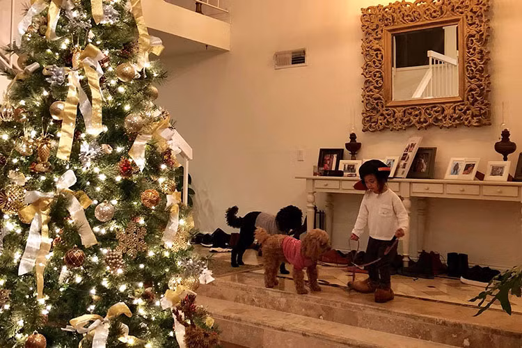 Hà Kiều Anh chia sẻ về con gái út: “Chị út nhà mình rất bận rộn dắt chó đi dạo, cả ngày ít nhất phải 10 lần đưa hai em chó đi dạo ngoài đường. Chị ấy tự động đội mũ của anh, đi giày của ba đi ra đi vào thiệt chịu không nổi”.