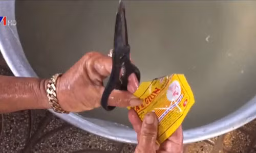 Thuốc tẩy giun dùng cho heo cũng chính là một trong những thứ mà người ta dùng để ngâm cá.