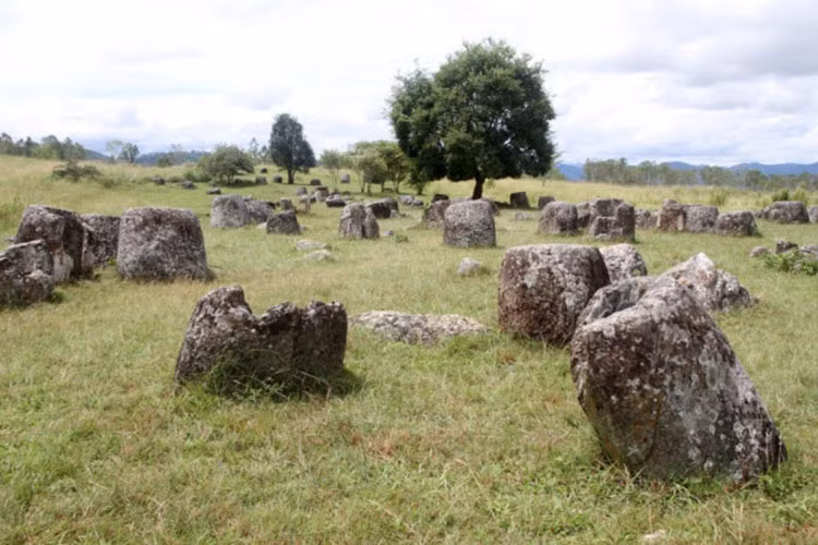 Mặc dù vậy, các chum đa dạng về chiều cao và đường kính từ 1m đến 3m. Tất cả chúng đều có chất liệu từ đá.