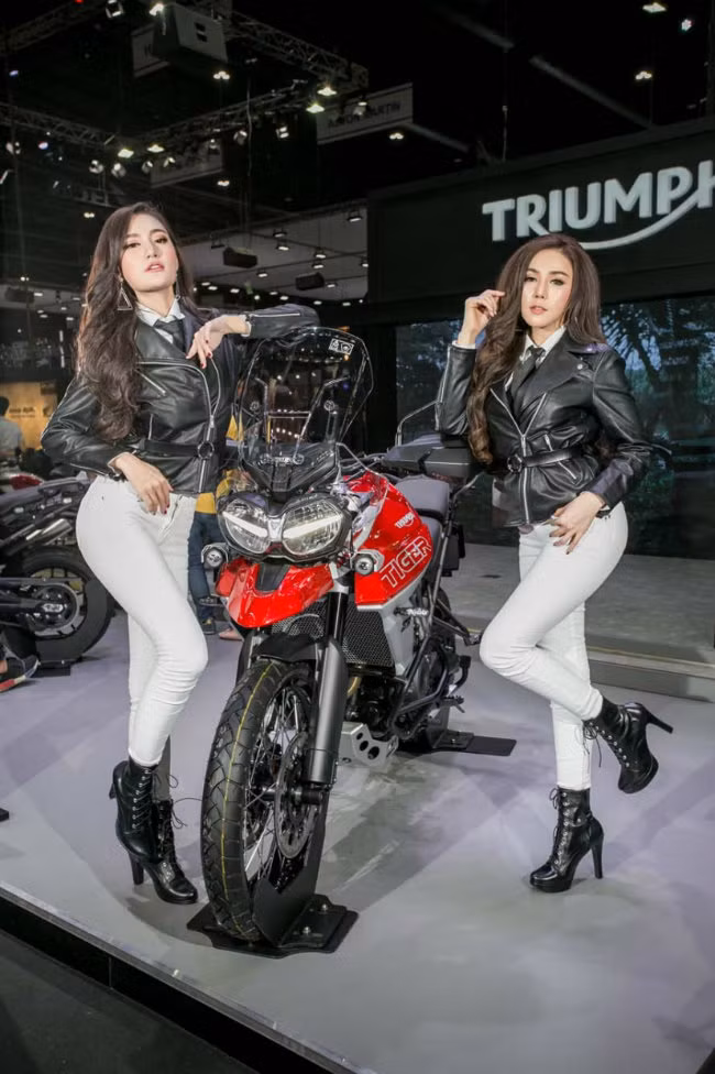 "Đùa rỡn" bên mãnh hổ Tiger của Triumph.