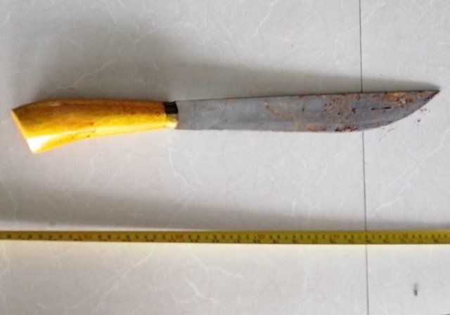 Trong lúc túng quẫn, Đức đã nhiều lần đến gặp bà nội, yêu cầu cụ L bán đất để trả nợ cho anh ta nhưng không được đồng ý. Vào buổi tối trước thời điểm vụ án xảy ra, Đức tiếp tục gặp bà nội yêu cầu bán đất. Trong quá trình nói chuyện, giữa hai bên xảy ra mâu thuẫn, đối tượng đã dùng hung khí, gây ra cái chết thương tâm cho bà nội và cô ruột. (Ảnh minh hoạ) 