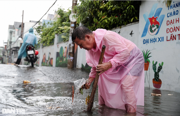 Một người dân sống trên đường Dương Văn Cam cũng đội mưa để vớt rác tại các miệng cống.