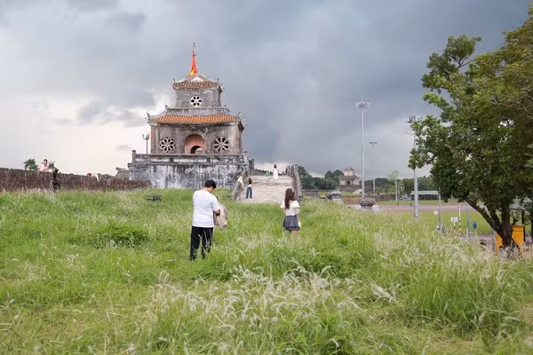 Đến với Huế, nếu có dịp hãy ghé qua khu vực Đại nội để được chiêm ngưỡng hoa cỏ lau và cảm nhận sự yên bình, nhẹ nhàng của Cố đô. 