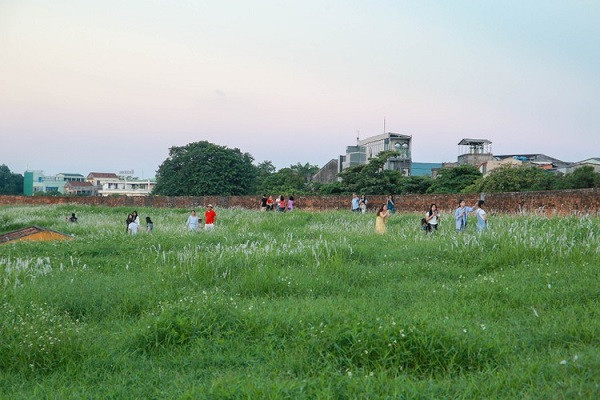 Khung cảnh tuyệt đẹp và thơ mộng đã thu hút hàng nghìn lượt khách tham quan, chụp ảnh, trong đó phần lớn là giới trẻ. 