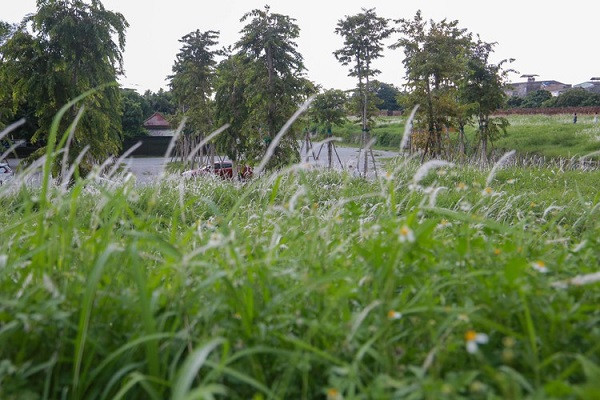 Từ khu vực Eo bầu, đến xung quanh bờ thành bên ngoài Đại nội Huế như đường Đoàn Thị Điểm, Đặng Thái Thân,... 