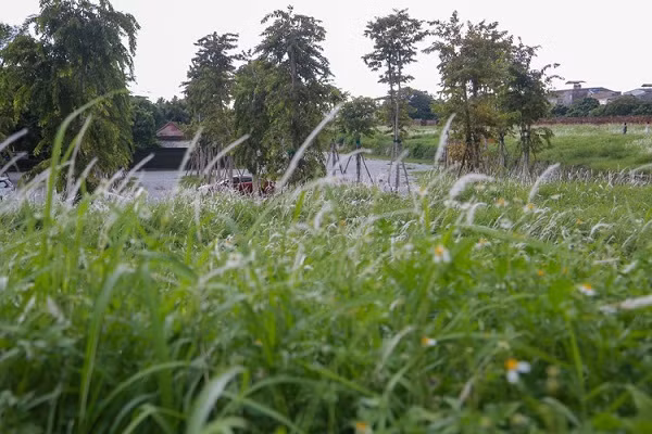 Từ khu vực Eo bầu, đến xung quanh bờ thành bên ngoài Đại nội Huế như đường Đoàn Thị Điểm, Đặng Thái Thân,... 