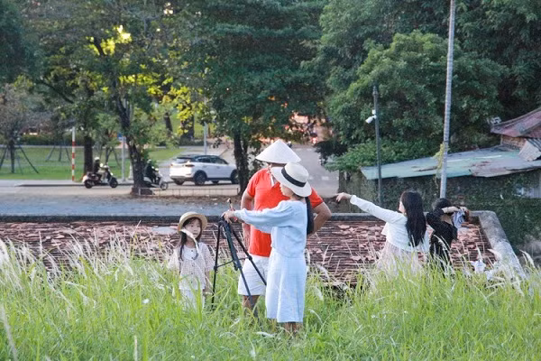 Gia đình nhỏ tạo dáng, chụp hình kỷ niệm với hoa cỏ lau. 