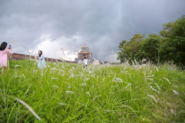 Khung cảnh nhẹ nhàng, lãng mạn của hoa cỏ lau hòa với nét cổ kính của Thượng thành Huế. 