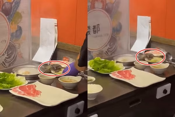 Hu hon vi dang an, con chuot roi ngay xuong canh noi lau