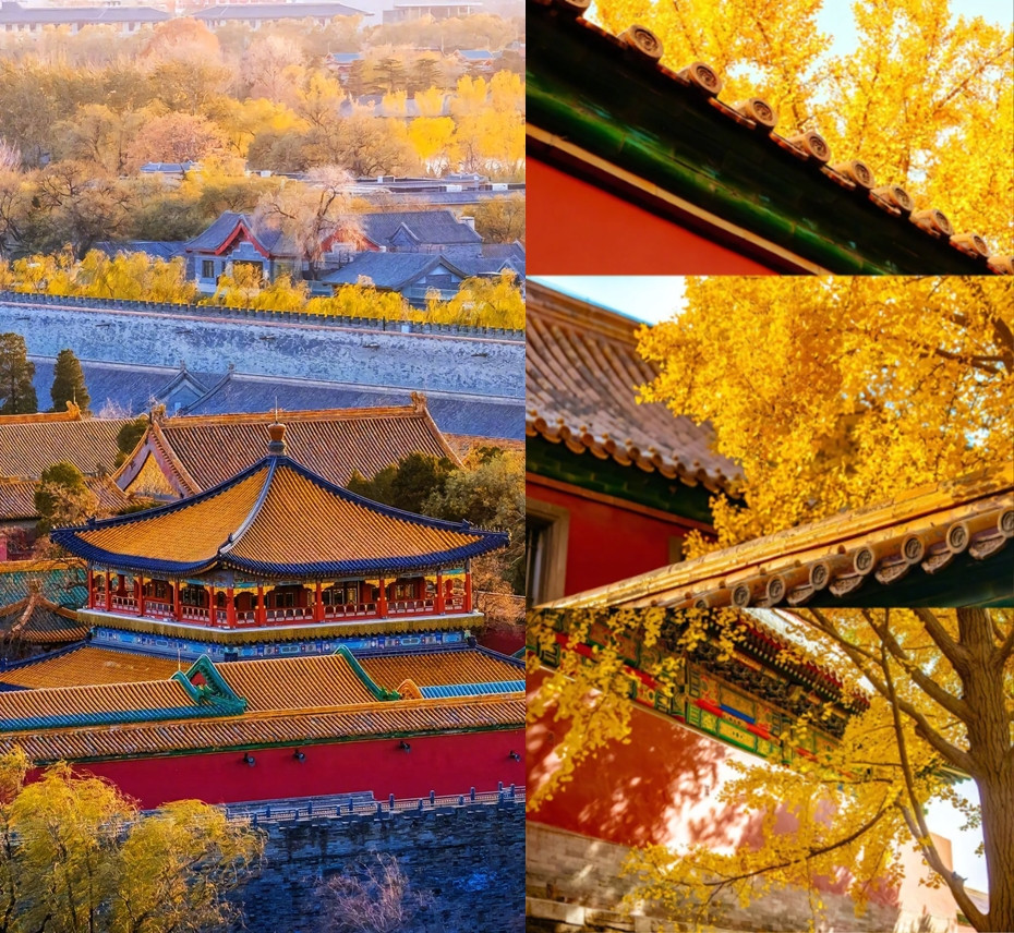 Tử Cấm Thành hay còn gọi là Cố Cung nằm giữa thủ đô Bắc Kinh, Trung Quốc, là một quần thể cung điện rộng 720.000 m2.