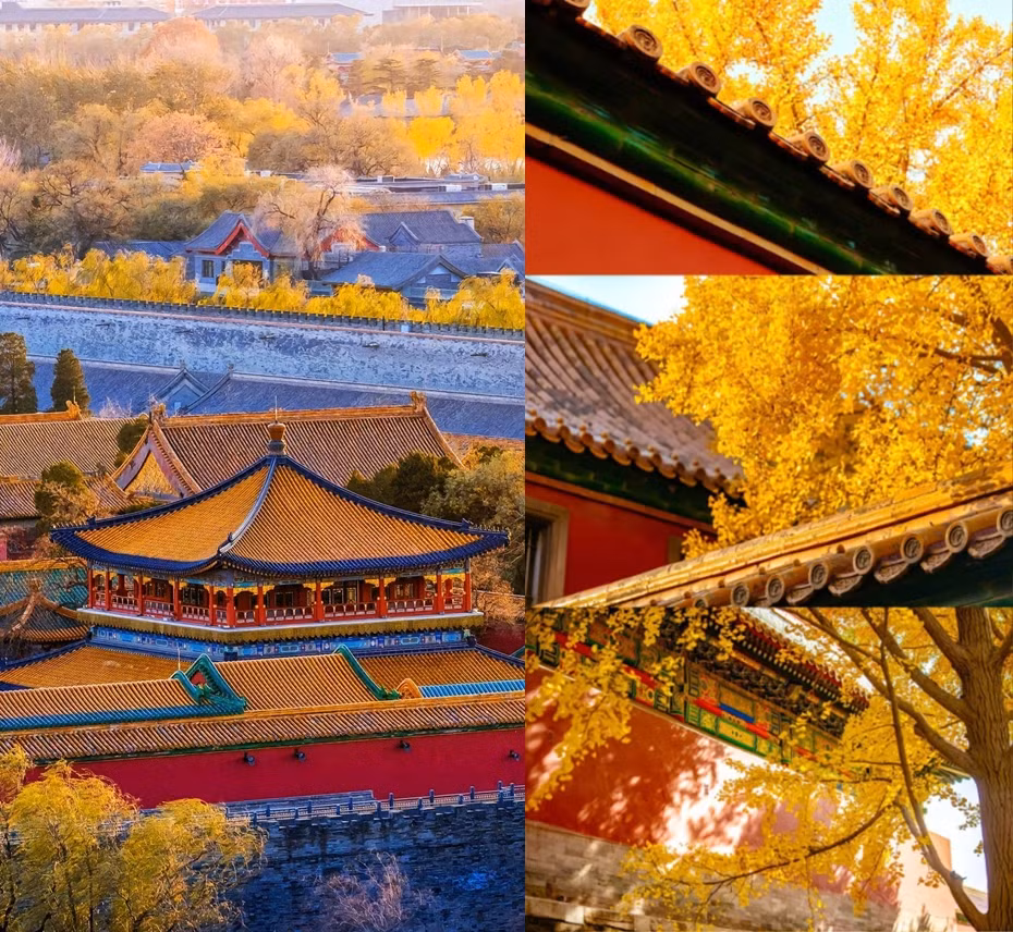 Tu Cam Thanh sang thu dep xao xuyen long nguoi-Hinh-6