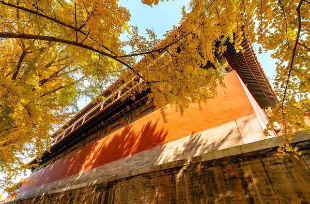 Hàng trăm năm qua, Tử Cấm Thành là một bí ẩn với dân thường vì không phải ai cũng được phép ra vào.