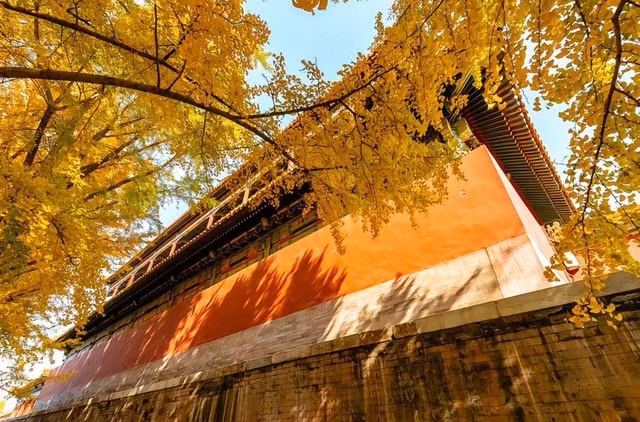 Tu Cam Thanh sang thu dep xao xuyen long nguoi-Hinh-5