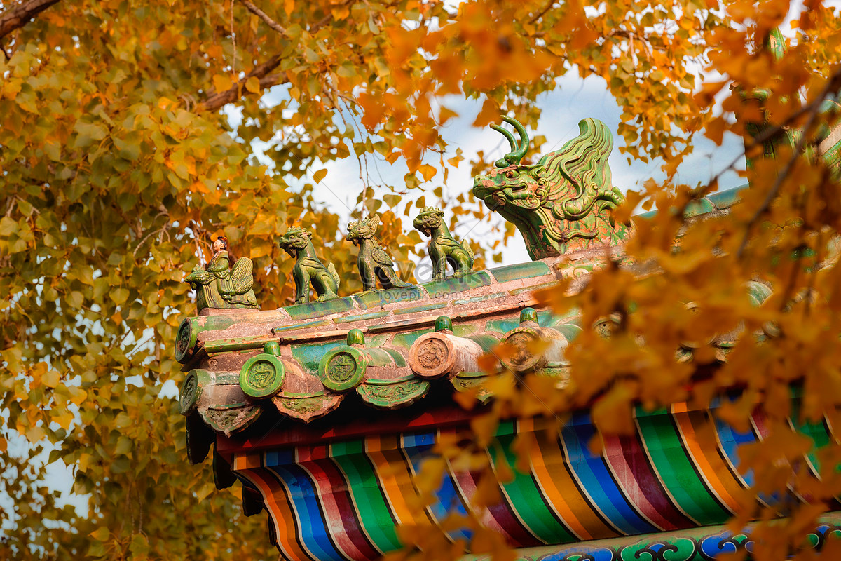 Công trình này được UNESCO công nhận là di sản thế giới vào năm 1987 và là quần thể cổ bằng gỗ lớn nhất thế giới. 