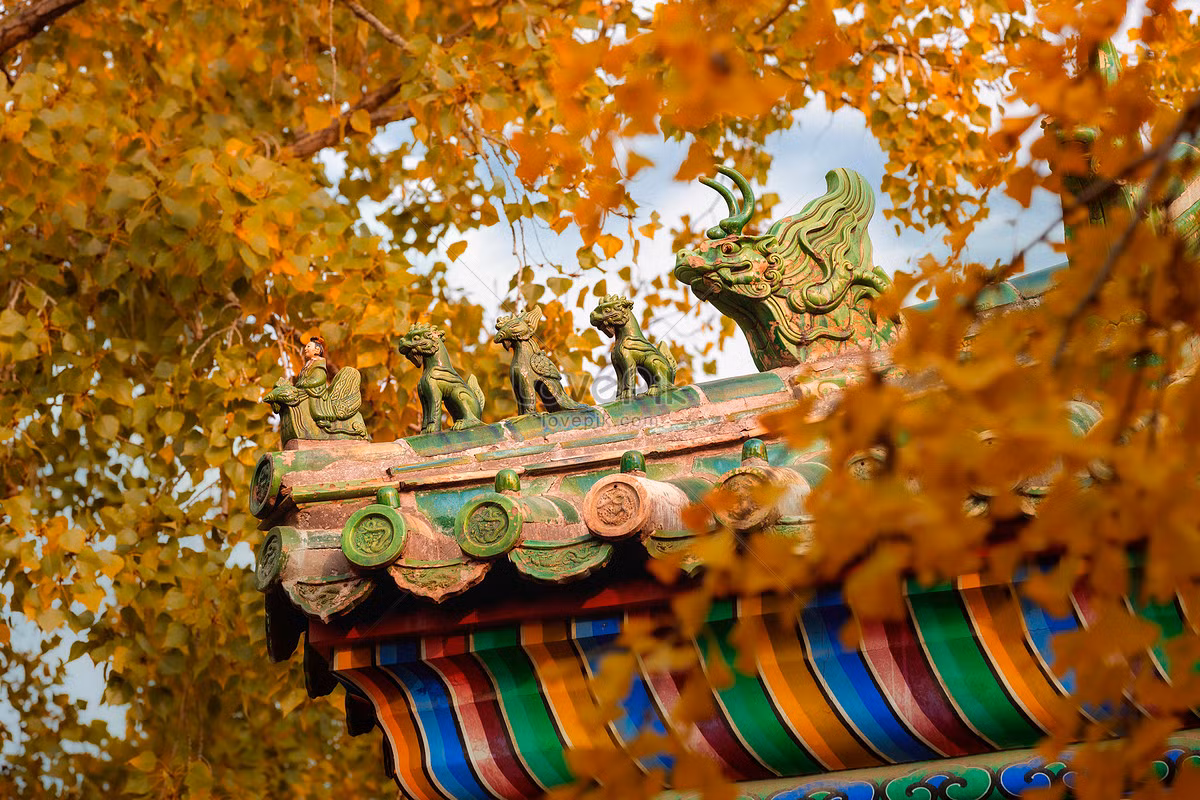 Tu Cam Thanh sang thu dep xao xuyen long nguoi-Hinh-9