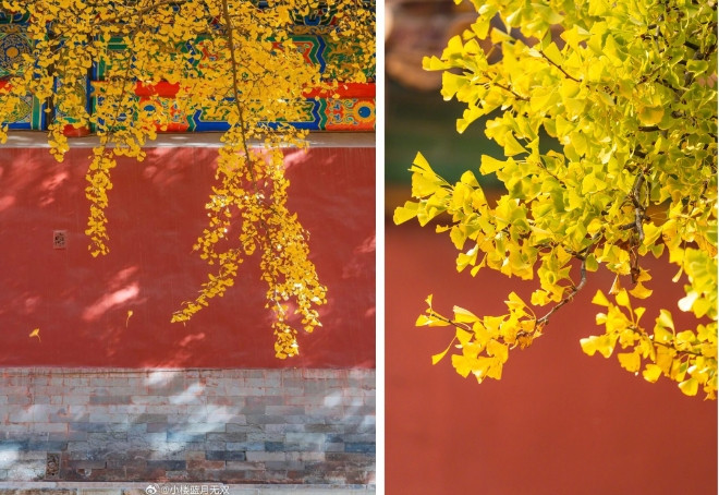 Khác hẳn với các mùa còn lại trong năm, Tử Cấm Thành sang thu rũ bỏ dáng vẻ rạng rỡ mọi khi, thay cho mình dáng vẻ bình yên hiếm thấy.