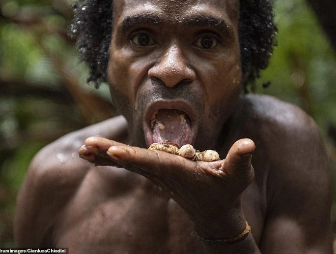 Bột cọ Sago và ấu trùng là món ăn ưa thích của người Korowai. Ảnh: IT, DM.