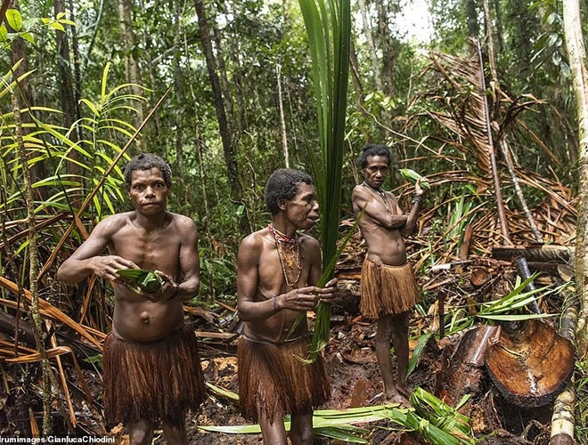 Những ngôi nhà xây bằng cành cây dễ cháy, vì vậy, khu vực nấu ăn được người Korowai thiết kế đặc biệt, nằm phía dưới ngôi nhà, trên mặt đất và có khoảng cách xa.