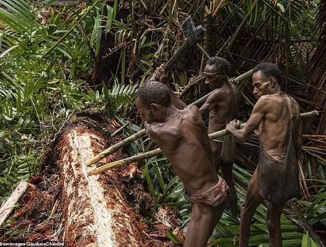 Bộ tộc Korowai giao tiếp với nhau bằng ngôn ngữ riêng và thường chỉ là những tiếng la hét, tiếng hú, tín hiệu khói, đánh dấu đường mòn và khả năng đọc dấu chân... Trong gần 3.000 người, chỉ có một số người Korowai có thể đọc và viết được. 