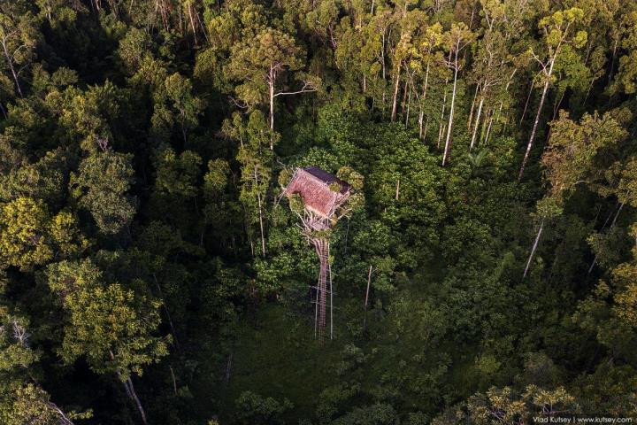 Người Korowai sống cô lập hoàn toàn với thế giới bên ngoài, lần đầu tiên được phát hiện ra bởi nhà truyền giáo người Hà Lan vào những năm 1970.