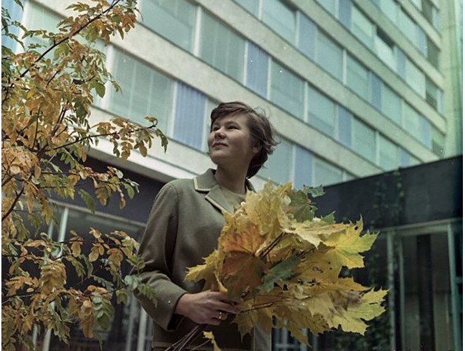 Những cây bạch dương và cây phong bắt đầu chuyển sang màu đỏ, vàng và cam khi trời sang thu.