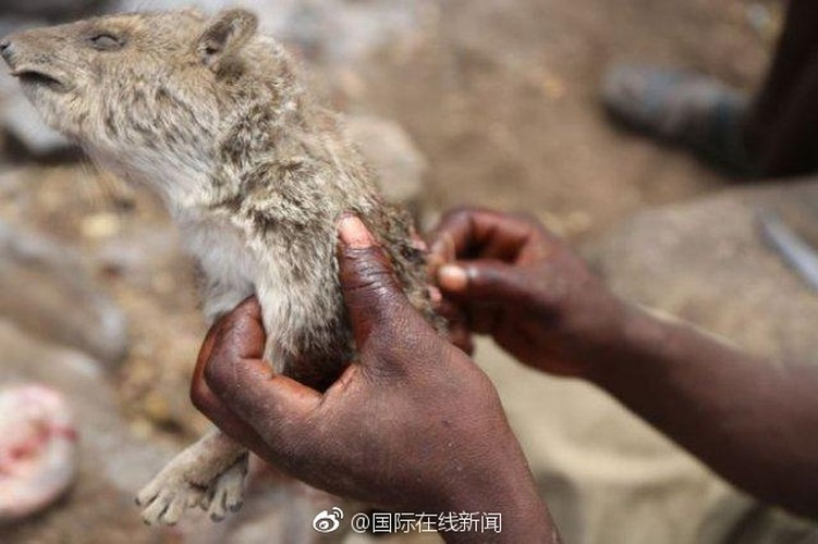 Chính vì vậy, đàn ông trong bộ tộc thường săn bắn cực giỏi, hiếm có loài động vật nào họ nhắm đến thoát khỏi bàn tay của họ. Ảnh: Sina.