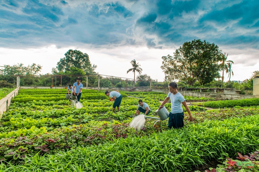 Công tác đảm bảo Hậu cần - Kỹ thuật.