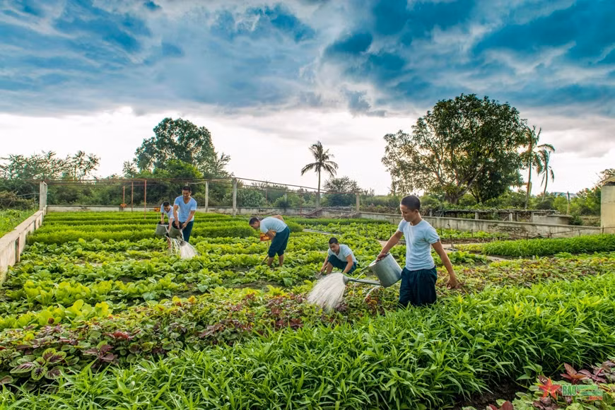 Công tác đảm bảo Hậu cần - Kỹ thuật.