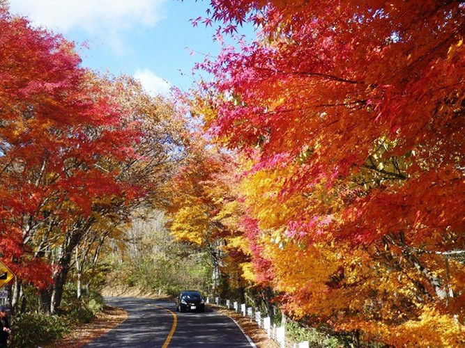 Thời gian đẹp nhất để ngắm lá đỏ ở đây là từ giữa tháng 10 tới đầu tháng 11. Bạn có thể thư giãn và tận hưởng thiên nhiên tuyệt đẹp vào mùa thu.