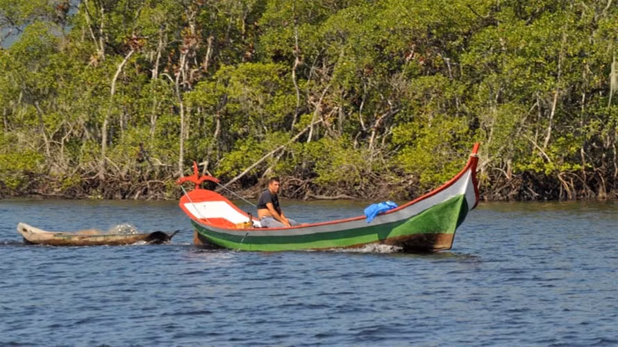 Hòn đảo này có 33.000 mẫu rừng ngập mặn, bãi biển, đầm lầy và động vật hoang dã.