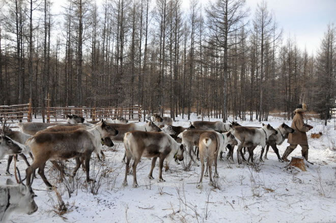 Tuy nhiên, với sự tiến bộ của nền văn minh hiện đại, những yếu tố văn hoá của tộc người Ewenki đang chịu tác động mạnh mẽ.