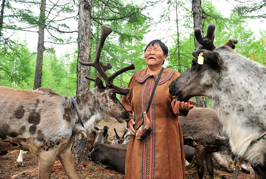 Họ lớn lên với loại sữa tuần lộc giàu dinh dưỡng. Thức ăn chủ yếu của họ là thịt khô và sữa tuần lộc ăn kèm với bánh mì. Ảnh: IT.