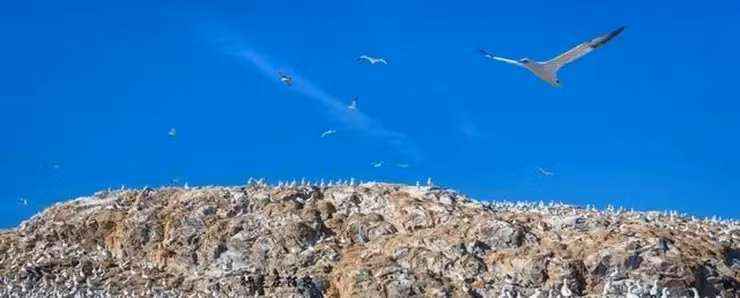 Hon dao “boc mui”, khong ai dam ben mang toi-Hinh-2