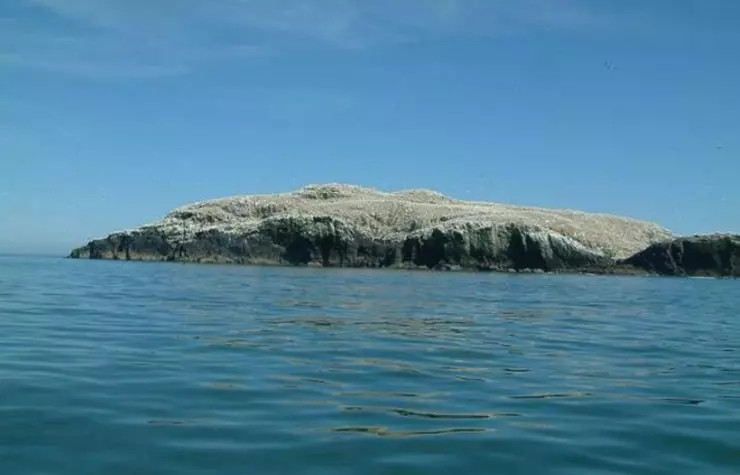 Hon dao “boc mui”, khong ai dam ben mang toi