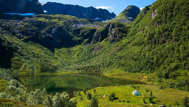 Dường như thiên nhiên đã bao phủ toàn bộ sắc xanh cho khung cảnh của ngôi nhà.