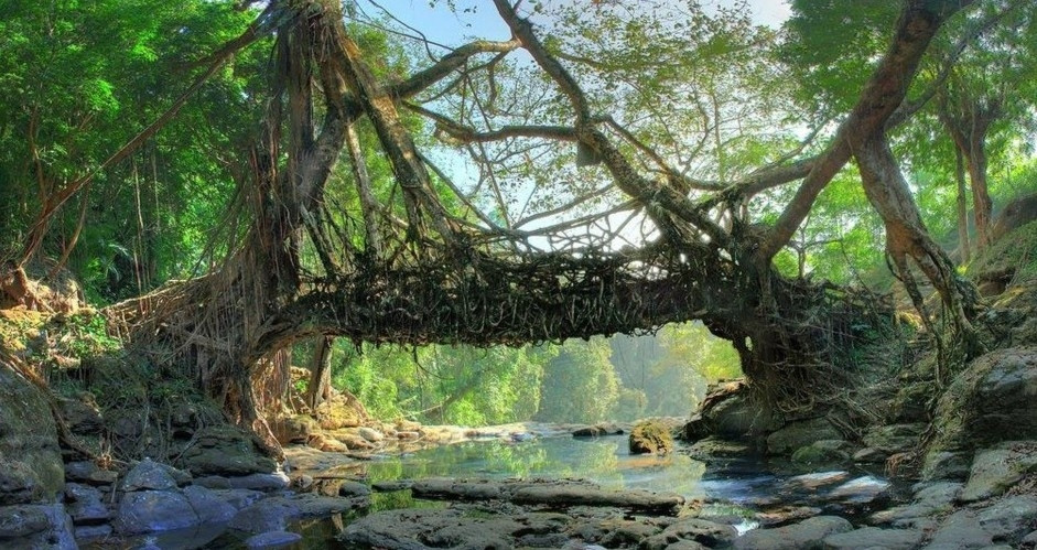 Mặc dù chỉ hoàn thành đường làng cách đây 12 năm, nhưng cho đến hiện tại ngôi làng nhỏ này đang là một trong những điểm đến hàng đầu Ấn Độ cũng như châu Á.