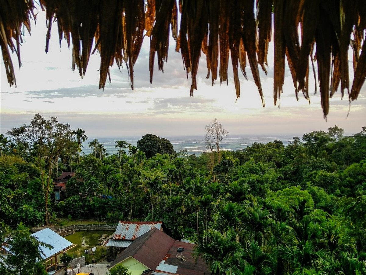 Làng Mawlynnong chỉ có khoảng 90 gia đình với gần 500 người dân, tạo thành một cộng đồng khép kín. Mặc dù không lớn nhưng ở đây có đầy đủ tiện nghi như nhà thờ, trường học... và con người cũng có cách sống rất riêng.