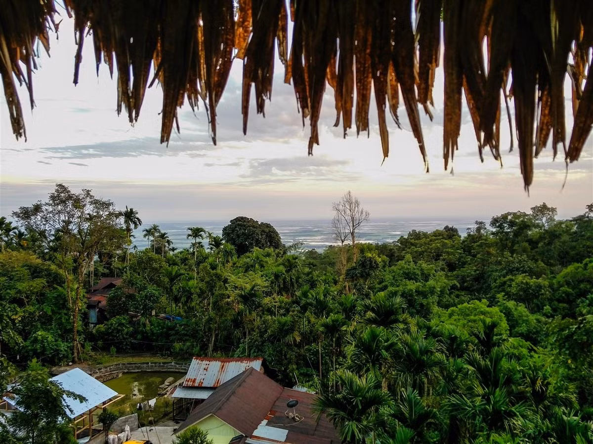 Khám phá ngôi làng sạch nhất châu Á ở Ấn Độ - Hình 3 Kham pha ngoi lang sach nhat chau A o An Do-Hinh-3