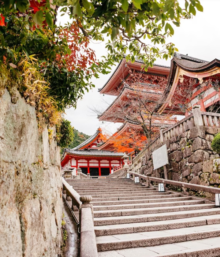 Chùa Kiyomizu-dera được hình thành từ thế kỷ thứ 8. Việc leo lên chính điện và thiền chùa gần đó rất đáng giá từng bước để ngắm nhìn quang cảnh phía tây Kyoto.