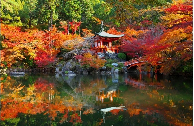 Sắc đỏ rực rỡ của cây phong xung quanh ngôi đền Daigoji khi trời vào thu.