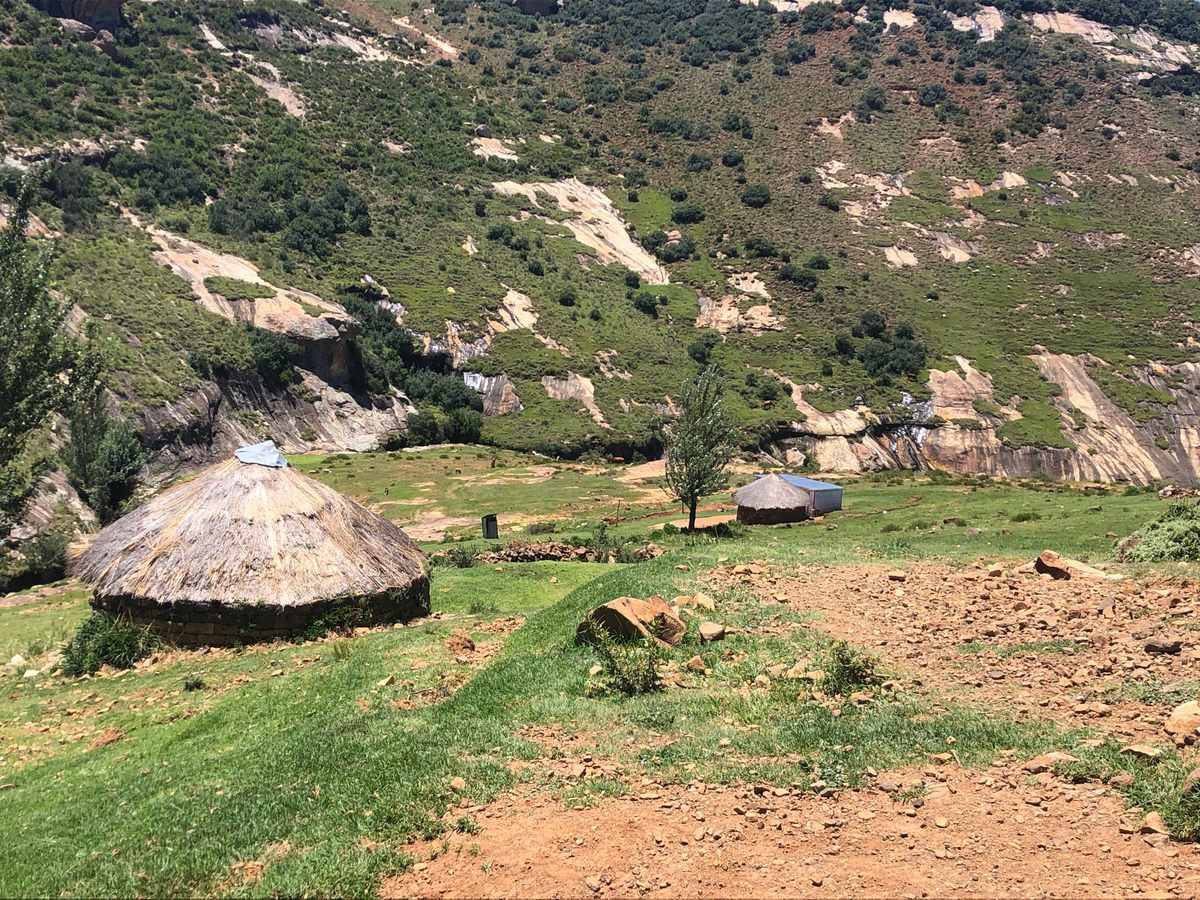 Tan muc noi o cua toc nguoi song trong hang dong-Hinh-4