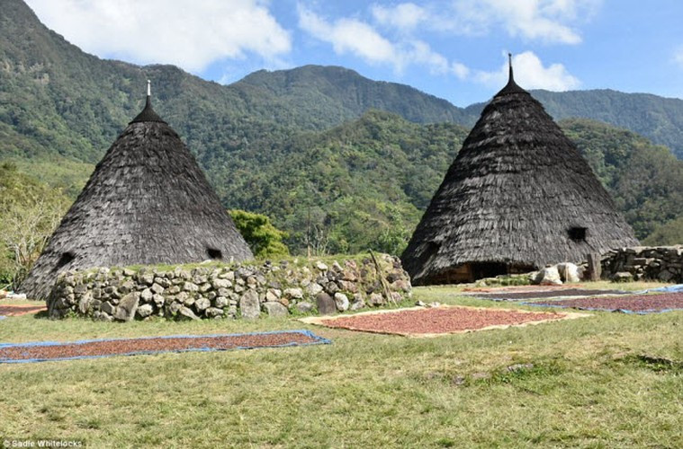 Ngôi làng bí ẩn Wae Rebo không có trường học và nhiều trẻ em phải đi học tại các cộng đồng dân cư bên cạnh.