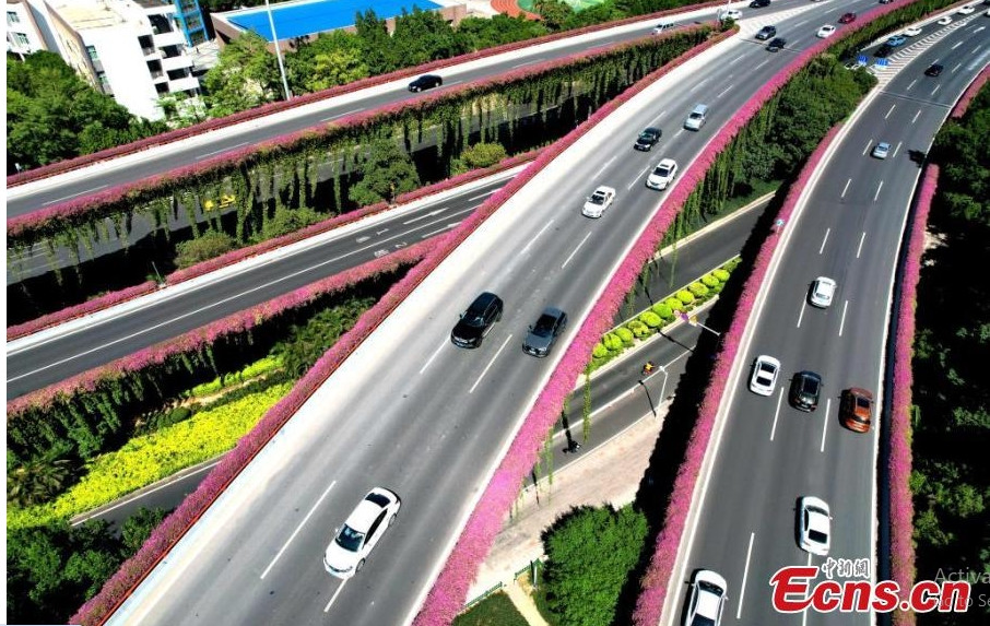 Từ tháng 9 đến tháng 10 là giai đoạn hoa bung nở, biến những đoạn đường khô khan thành chuyến đi thơ mộng.