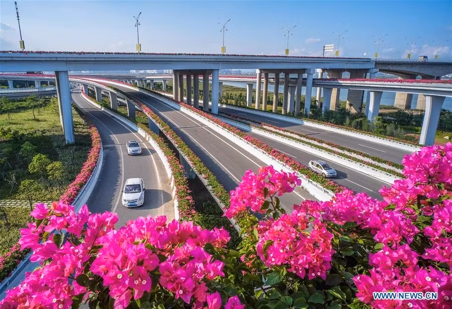 Đây cũng là cây cầu đẹp nhất thành phố, thu hút hàng nghìn người dân cùng du khách đến thăm thu vào mùa hoa nở.